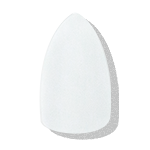 パル薄型ネイルチップ ロングポイント
