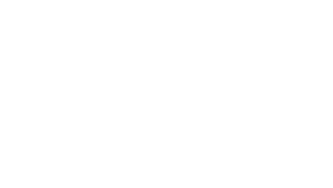Parkikoi Premium